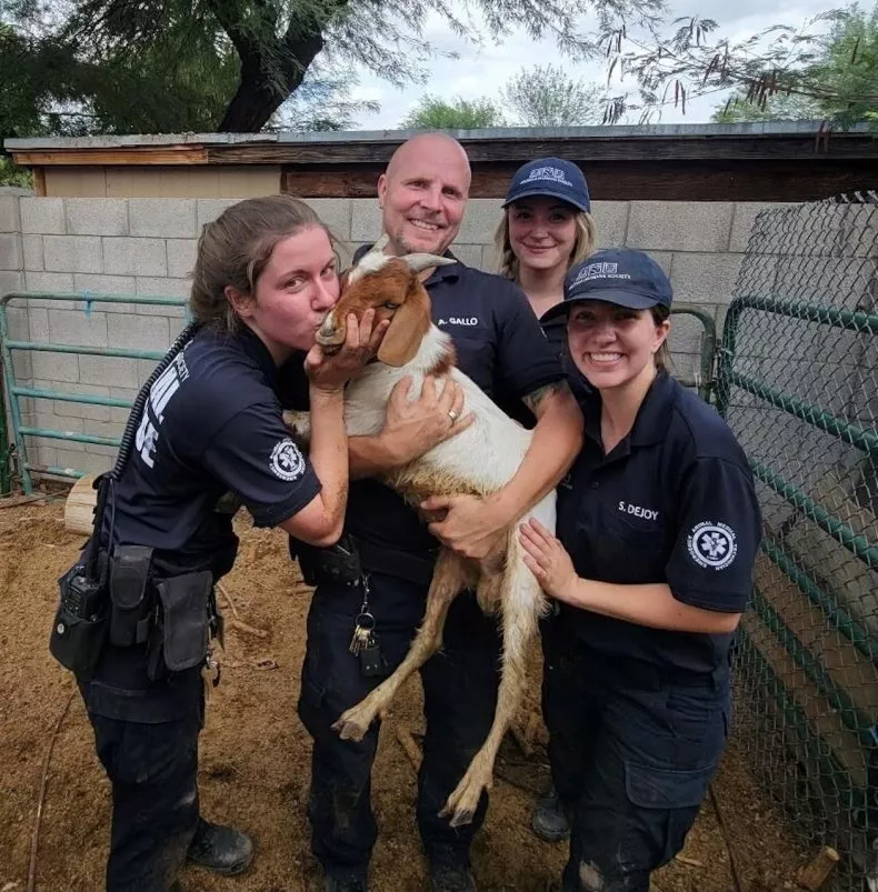 goat-rescued-updated