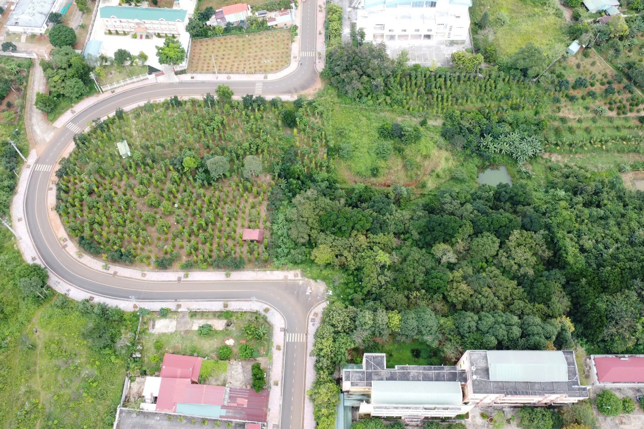 Đắk Nông lý giải làm đường chữ U kỳ lạ, phải chi 8 tỷ đồng để nắn - 3