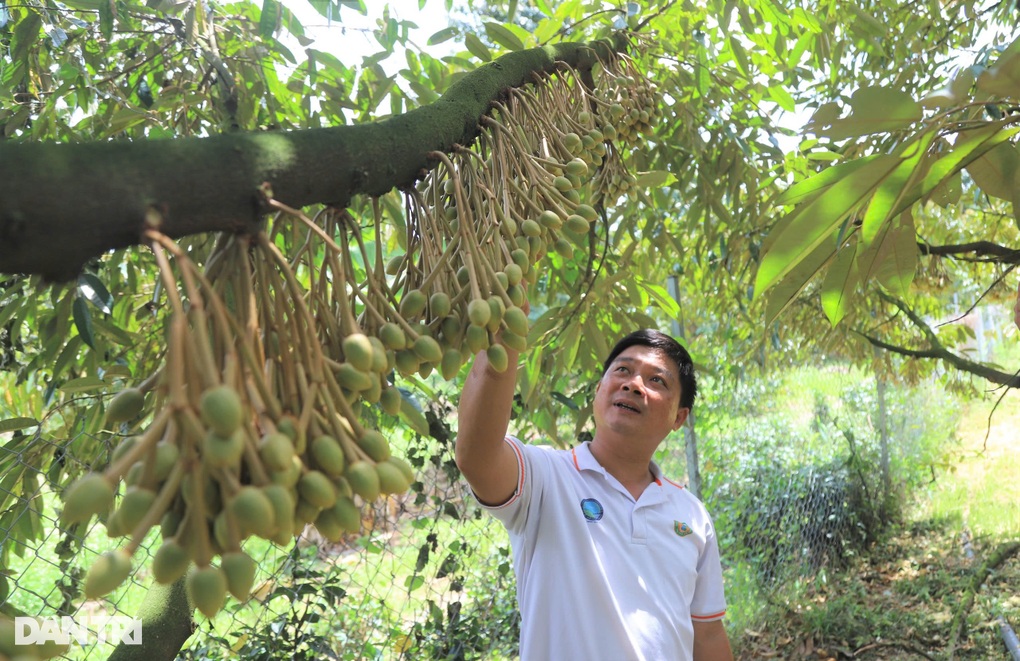 Câu lạc bộ quy tụ những nông dân tỷ phú ở Lâm Đồng - 3 Câu lạc bộ quy tụ những nông dân tỷ phú ở Lâm Đồng - 3