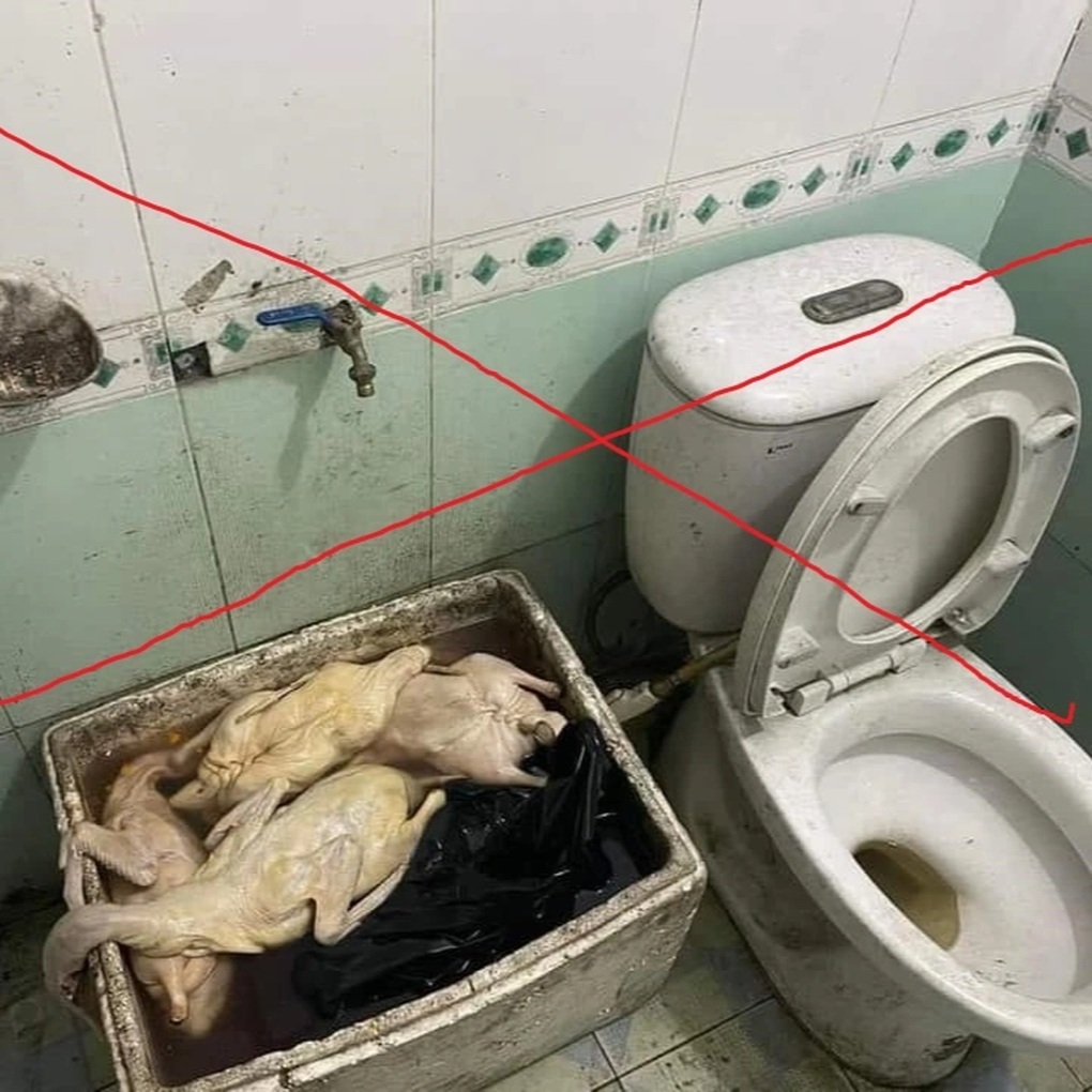Quán vịt quay ở Quảng Ninh bị tố có dòi: Chủ quán nói gì? - 1 Quán vịt quay ở Quảng Ninh bị tố có dòi: Chủ quán nói gì? - 1